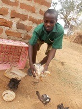 Boy in Kenya with chicken